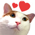 hamheart