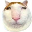hom