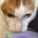homMurder