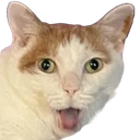 homWhat