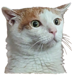 Ham